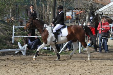 Bild 1311 - WBO-Turnier am 9.4.11